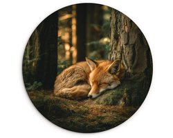 WallCircle® Wandcirkel 30x30 cm - Muurcirkel Vos - Bos - Slapen - Muurdecoratie woonkamer - Wanddecoratie slaapkamer - Kamer decoratie accessoires - Ronde schilderijen