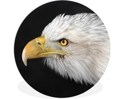 WallCircle - Wandcirkel ⌀ 60 - Adelaar - Vogel - Snavel - Ogen - Ronde schilderijen woonkamer - Wandbord rond - Muurdecoratie cirkel - Kamer decoratie binnen - Wanddecoratie muurcirkel - Woonaccessoires