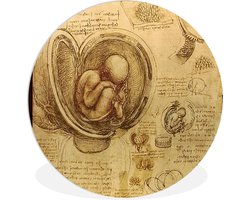 WallCircle - Wandcirkel ⌀ 60 - Baby in the womb - Leonardo da Vinci - Ronde schilderijen woonkamer - Wandbord rond - Muurdecoratie cirkel - Kamer decoratie binnen - Wanddecoratie muurcirkel - Woonaccessoires