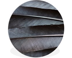 WallCircle - Wandcirkel ⌀ 60 - De veren van een raaf uit de natuur - Ronde schilderijen woonkamer - Wandbord rond - Muurdecoratie cirkel - Kamer decoratie binnen - Wanddecoratie muurcirkel - Woonaccessoires