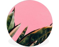 WallCircle - Wandcirkel ⌀ 60 - Planten - Bladeren - Vrouwentong - Roze - Tropisch - Ronde schilderijen woonkamer - Wandbord rond - Muurdecoratie cirkel - Kamer decoratie binnen - Wanddecoratie muurcirkel - Woonaccessoires