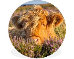 WallCircle - Wandcirkel ⌀ 60 - Schotse Hooglander - Heide - Gras - Dieren - Ronde schilderijen woonkamer - Wandbord rond - Muurdecoratie cirkel - Kamer decoratie binnen - Wanddecoratie muurcirkel - Woonaccessoires