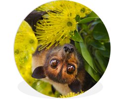 WallCircle - Wandcirkel ⌀ 90 - Dieren - Afrika - Madagascar - Ronde schilderijen woonkamer - Wandbord rond - Muurdecoratie cirkel - Kamer decoratie binnen - Wanddecoratie muurcirkel - Woonaccessoires