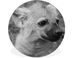 WallCircle - Wandcirkel ⌀ 90 - Hyena welp in zwart-wit - Ronde schilderijen woonkamer - Wandbord rond - Muurdecoratie cirkel - Kamer decoratie binnen - Wanddecoratie muurcirkel - Woonaccessoires
