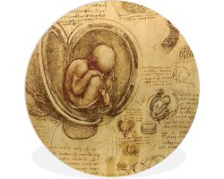 WallCircle - Wandcirkel ⌀ 90 - Leonardo da Vinci - Ronde schilderijen woonkamer - Wandbord rond - Muurdecoratie cirkel - Kamer decoratie binnen - Wanddecoratie muurcirkel - Woonaccessoires