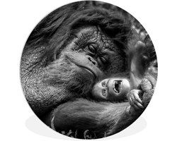 WallCircle - Wandcirkel ⌀ 90 - Liefdevolle Orang-oetan met jong in zwart-wit - Ronde schilderijen woonkamer - Wandbord rond - Muurdecoratie cirkel - Kamer decoratie binnen - Wanddecoratie muurcirkel - Woonaccessoires