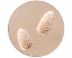 WallCircle® Wandcirkel 90x90 cm - Muurcirkel Pampas pluimen - Beige - Planten - Aardetonen - Muurdecoratie woonkamer - Wanddecoratie slaapkamer - Kamer decoratie accessoires - Ronde schilderijen - Woonaccessoires cirkel binnen