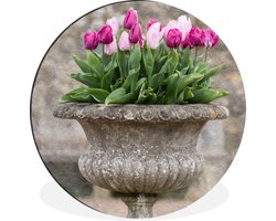 WallCircle - Wandcirkel - Muurcirkel - Een stenen plantenbak met roze tulpen - Aluminium - Dibond - ⌀ 140 cm - Binnen en Buiten