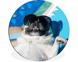 WallCircle - Wandcirkel - Muurcirkel - Hond - Grappig - Zonnebril - Kinderen - Jongens - Meisjes - Kindje - Aluminium - Dibond - ⌀ 60 cm - Binnen en Buiten