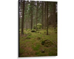 WallClassics - Canvas  - Bos vol Mos - 80x120 cm Foto op Canvas Schilderij (Wanddecoratie op Canvas)