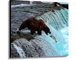 WallClassics - Canvas - Bruine Beer Happend naar Vis bij een Rivier met Waterval - 100x100 cm Foto op Canvas Schilderij (Wanddecoratie op Canvas)