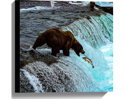 WallClassics - Canvas - Bruine Beer Happend naar Vis bij een Rivier met Waterval - 40x40 cm Foto op Canvas Schilderij (Wanddecoratie op Canvas)