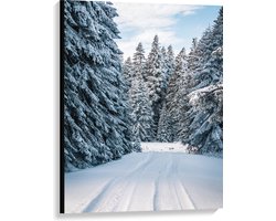 WallClassics - Canvas - Pad tussen Bomen in Besneeuwd Landschap - 75x100 cm Foto op Canvas Schilderij (Wanddecoratie op Canvas)