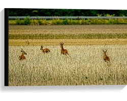 WallClassics - Canvas - Vier Herten Rennend door de Wei - 60x40 cm Foto op Canvas Schilderij (Wanddecoratie op Canvas)