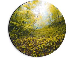 WallClassics - Dibond Muurcirkel - Begroeide Heuvel in het Bos - 20x20 cm Foto op Aluminium Muurcirkel (met ophangsysteem)