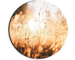 WallClassics - Dibond Muurcirkel - Fel Zonlicht door Droge Grassen - 20x20 cm Foto op Aluminium Muurcirkel (met ophangsysteem)