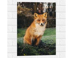 WallClassics - Muursticker - Vos in het Bos - 40x60 cm Foto op Muursticker