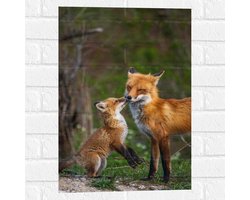 WallClassics - Muursticker - Vosje geeft Kus aan Moeder - 40x60 cm Foto op Muursticker