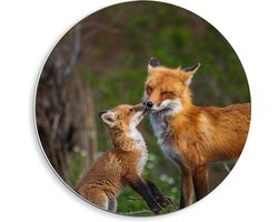 WallClassics - PVC Schuimplaat Muurcirkel - Vosje geeft Kus aan Moeder - 40x40 cm Foto op Muurcirkel (met ophangsysteem)