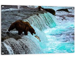 WallClassics - Tuinposter – Bruine Beer Happend naar Vis bij een Rivier met Waterval - 120x80 cm Foto op Tuinposter (wanddecoratie voor buiten en binnen)