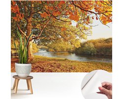 Wallfluent Zelfklevend Fotobehang - Geel Vliesbehang - 208x146 cm - Herfst Aan De Kust Behang Zonder Lijm - Gang behang Landschappen - Luchtbelvrij Behang - Polyester Behang
