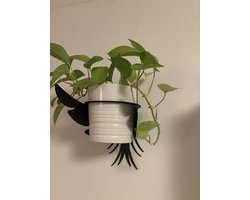 Wallmoplant - Wandplanthouder - stalen plant bak houder - wanddecoratie - planten - plantenbakhouder - vogel - decoratie