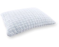 Walra Travel Textiles Kussen 37x55 cm met Tas - Inclusief handige travel bag