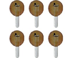Wand Stekstation - Reageerbuis Vaas - Planten Vermeerderen - Elegant Houten Frame - 6 STUKS - Niet gespecificeerd