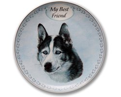Wandbord My Best Friend, Husky , bord op standaard, rashonden - Husky