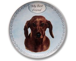 Wandbord My Best Friend Teckel , Dachshund , bord op standaard, hondenkop Teckel