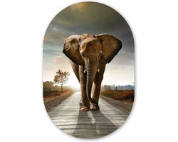 Wandcirkel - Muurovaal - Olifant - Weg - Dieren - Zonsondergang - Landschap - Ovalen Schilderij - Muurcirkel binnen - Muurdecoratie - Woonkamer - 80x120 cm - Kamer decoratie - Slaapkamer
