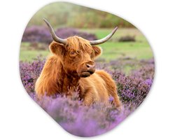 Wandcirkel - Organische wanddecoratie - Schotse Hooglander - Bruin - Struiken - Natuur - Koe - Paars - Organisch Schilderij - Muurcirkel binnen - Muurdecoratie - Woonkamer - 40x40 cm - Kamer decoratie - Slaapkamer