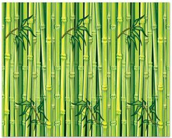 Wanddecoratie Jungle Bamboe groen