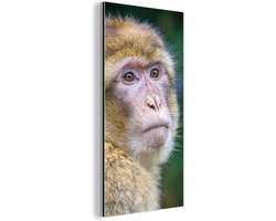 Wanddecoratie Metaal - Aluminium Schilderij Industrieel - Apen - Dieren - Portret - Natuur - 40x80 cm - Dibond - Foto op aluminium - Industriële muurdecoratie - Voor de woonkamer/slaapkamer