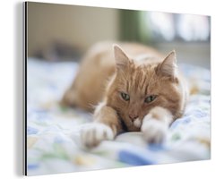 Wanddecoratie Metaal - Aluminium Schilderij Industrieel - Kat - Bed - Bedsprei - Meisjes - Kinderen - Jongens - Kind - 120x80 cm - Dibond - Foto op aluminium - Industriële muurdecoratie - Voor de woonkamer/slaapkamer