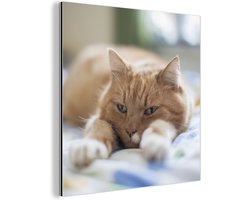 Wanddecoratie Metaal - Aluminium Schilderij Industrieel - Kat - Bed - Bedsprei - Meisjes - Kinderen - Jongens - Kind - 20x20 cm - Dibond - Foto op aluminium - Industriële muurdecoratie - Voor de woonkamer/slaapkamer