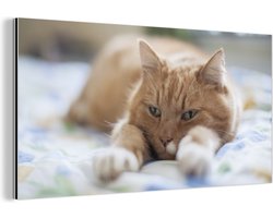 Wanddecoratie Metaal - Aluminium Schilderij Industrieel - Kat - Bed - Bedsprei - Meisjes - Kinderen - Jongens - Kind - 40x20 cm - Dibond - Foto op aluminium - Industriële muurdecoratie - Voor de woonkamer/slaapkamer