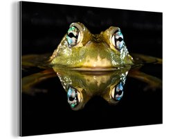 Wanddecoratie Metaal - Aluminium Schilderij Industrieel - Kikker - Ogen - Portret - 60x40 cm - Dibond - Foto op aluminium - Industriële muurdecoratie - Voor de woonkamer/slaapkamer