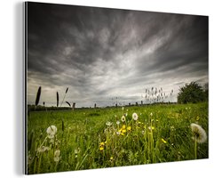 Wanddecoratie Metaal - Aluminium Schilderij Industrieel - Weide voor een storm - 150x100 cm - Dibond - Foto op aluminium - Industriële muurdecoratie - Voor de woonkamer/slaapkamer