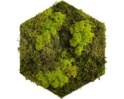 Wanddecoratie - mos - tegel - hexagon - lichtgroen - 18 x 21 cm