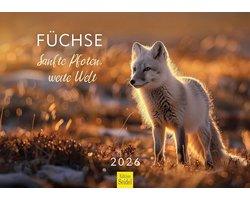 Wandkalender 2026 Dieren Vos Zachte Poten Natuur Prenten DIN A3