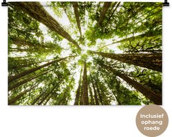 Wandkleed Jungle - Hoge groene bomen in jungle Wandkleed katoen 90x60 cm - Wandtapijt met foto