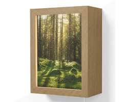 Wandlamp 15x20 cm - Oplaadbaar - Bomen - Bos - Mos - Planten - Zon - Natuur - Wandlampen binnen woonkamer - Slaapkamer lamp met kabel - Decoratieve nachtlamp - Vloerlamp snoer