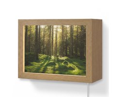 Wandlamp 20x15 cm - Oplaadbaar - Bomen - Bos - Mos - Planten - Zon - Natuur - Wandlampen binnen woonkamer - Slaapkamer lamp met kabel - Decoratieve nachtlamp - Vloerlamp snoer