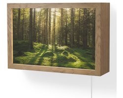 Wandlamp 30x20 cm - Oplaadbaar - Bomen - Bos - Mos - Planten - Zon - Natuur - Wandlampen binnen woonkamer - Slaapkamer lamp met kabel - Decoratieve nachtlamp - Vloerlamp snoer