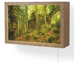 Wandlamp 30x20 cm - Oplaadbaar - Bomen - Steen - Bos - Natuur - Planten - Wandlampen binnen woonkamer - Slaapkamer lamp met kabel - Decoratieve nachtlamp - Vloerlamp snoer