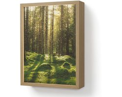 Wandlamp 30x40 cm - Oplaadbaar - Bomen - Bos - Mos - Planten - Zon - Natuur - Wandlampen binnen woonkamer - Slaapkamer lamp - Decoratieve nachtlamp - Vloerlamp draadloos