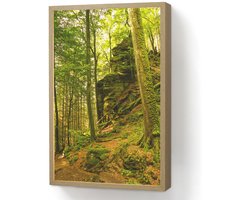 Wandlamp 40x60 cm - Oplaadbaar - Bomen - Steen - Bos - Natuur - Planten - Wandlampen binnen woonkamer - Slaapkamer lamp - Decoratieve nachtlamp - Vloerlamp draadloos