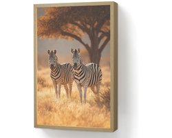 Wandlamp 40x60 cm - Oplaadbaar - Zebra's - Savannelandschap - Gras - Wandlampen binnen woonkamer - Slaapkamer lamp - Decoratieve nachtlamp - Vloerlamp draadloos