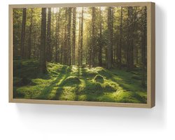 Wandlamp 60x40 cm - Oplaadbaar - Bomen - Bos - Mos - Planten - Zon - Natuur - Wandlampen binnen woonkamer - Slaapkamer lamp - Decoratieve nachtlamp - Vloerlamp draadloos